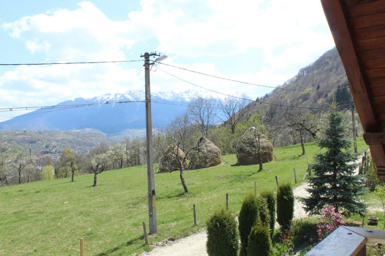 Casa Veverita Predelut Bagian luar foto